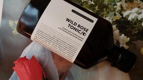 Отзыв: Тоник 