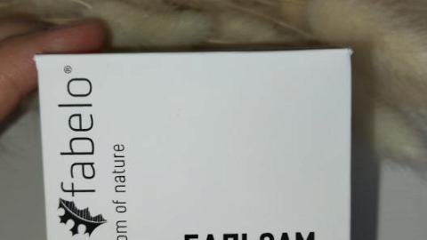 Отзыв: Многофункциональный помощник для всей семьи