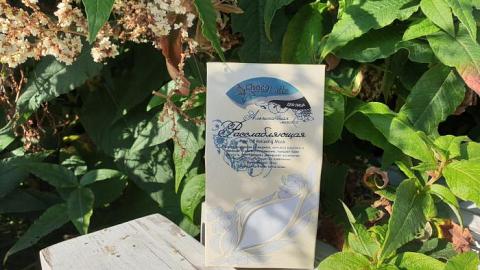 Отзыв: Расслабляющая альгинатная маска от Chocolatte - расслабит и тебя  и меня