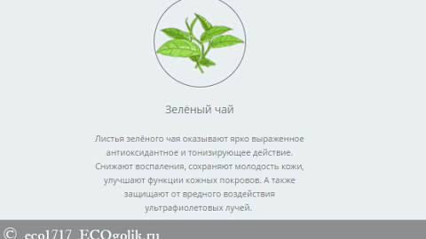 Отзыв: Освежающий гидролат зеленога чая