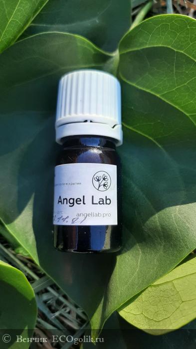   ' '  Angel lab -   
