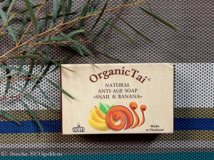       Organic Tai -    ?! -   Stucha