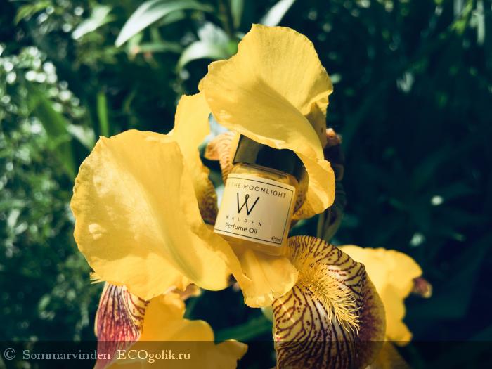 Walden Natural Perfumes:        -   Sommarvinden