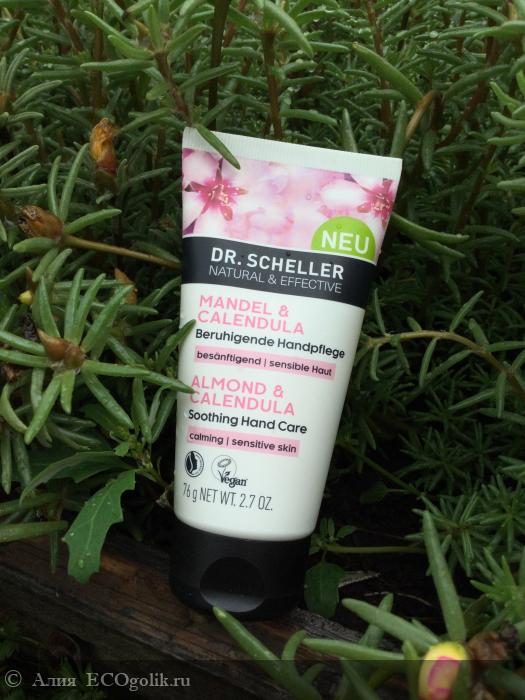         Dr.Scheller -   