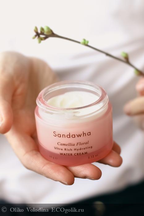         Sandawha (Camellia floral ultra rich hydrating water cream):     !     ! -   Oliko Volodina