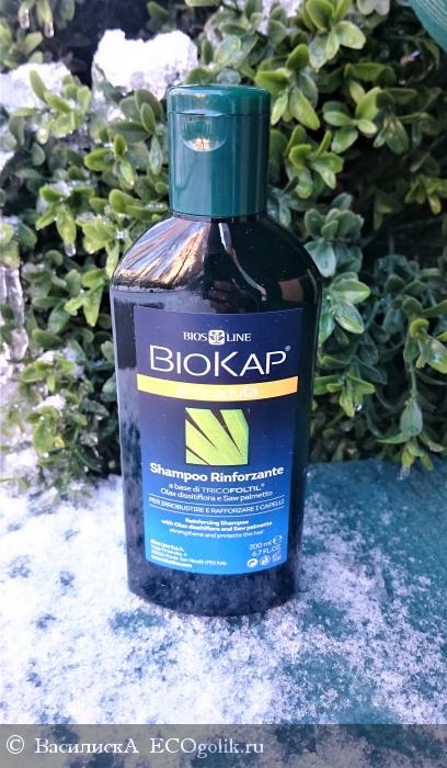     BioKap -   