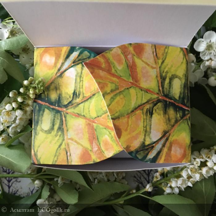 Выручает на кухне и не только. - отзыв Экоблогера Асылташ