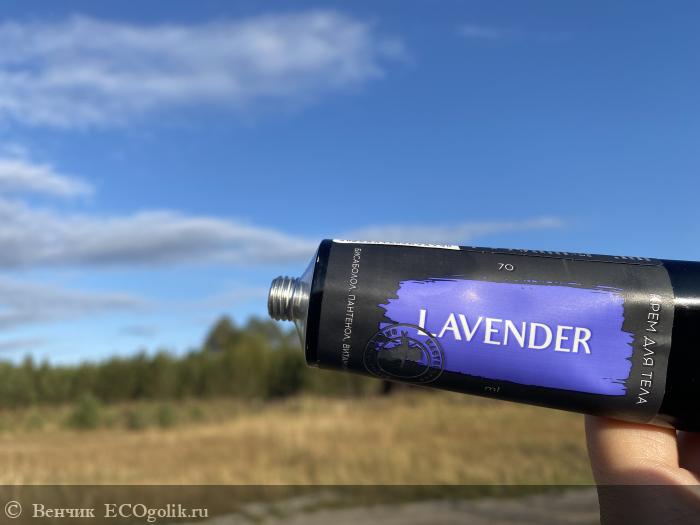    Lavender -          -   