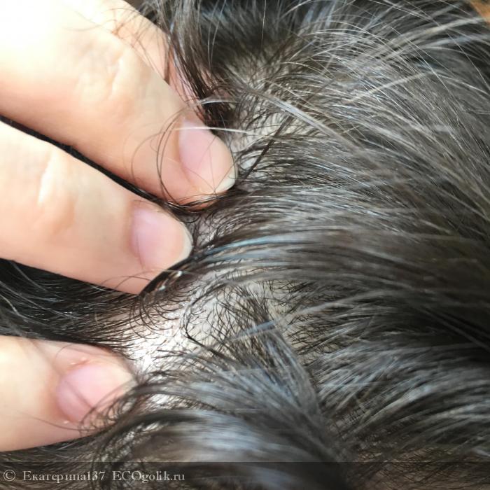 Масло для активного роста волос и против выпадения волос от Anna Gale - отзыв Экоблогера Екатерина137