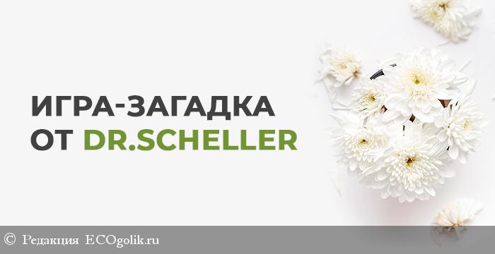 -  Dr.Scheller