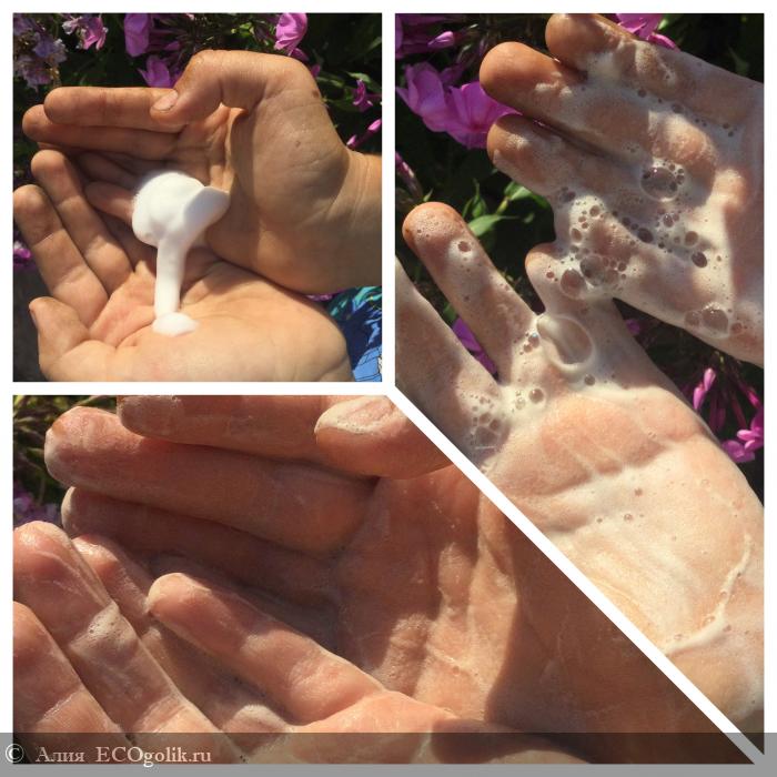 Пенка для мытья рук увлажняющая Вербена и алоэ-вера от SIBERINA - отзыв Экоблогера Алия