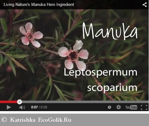    Living Nature -   Katrishka