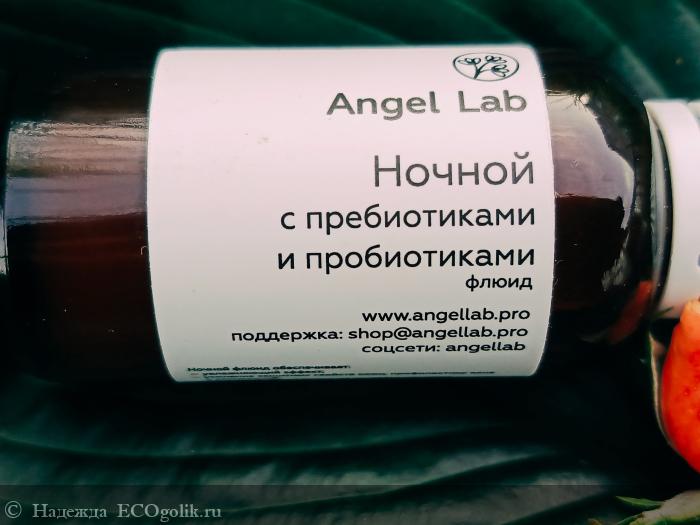        Angel Lab -   