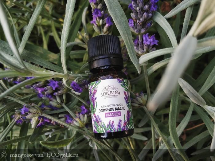   (Lavender essential oil)   SIBERINA -   mangosovvan