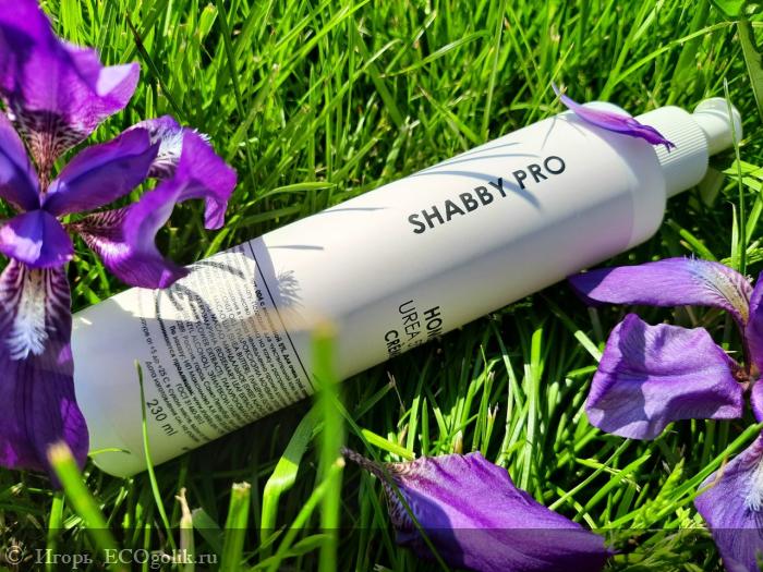    :    SHABBY PRO -   