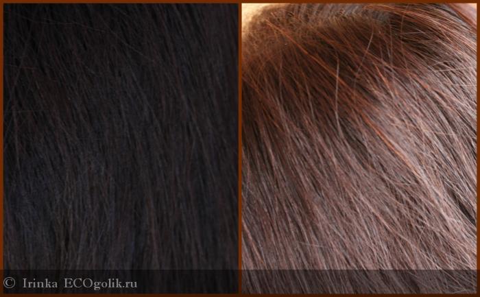 Logona растительная краска для волос 091 шоколадно-коричневый logona
