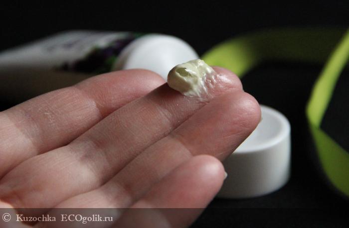 Базилик цитронелловый - отзыв Экоблогера Kuzochka