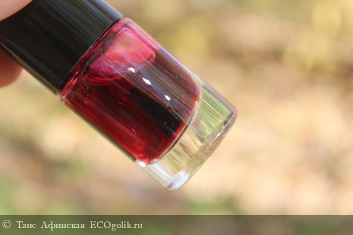 Tinto Tint  - Plum wine -       =( -    