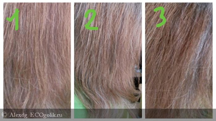 Сыворотка для волос ФИТО-АКТИВ для укрепления и роста волос, ChocoLatte - отзыв Экоблогера Alexdg