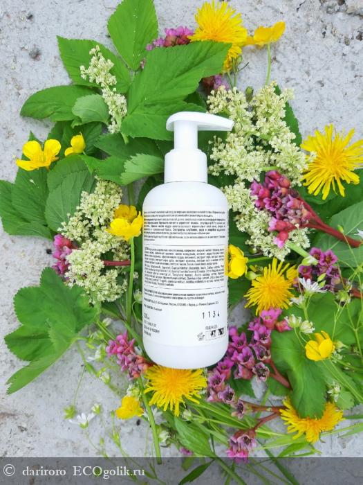 Если ты принцесса Жирновласка, то тебе понравится этот шампунь. - отзыв Экоблогера dariroro