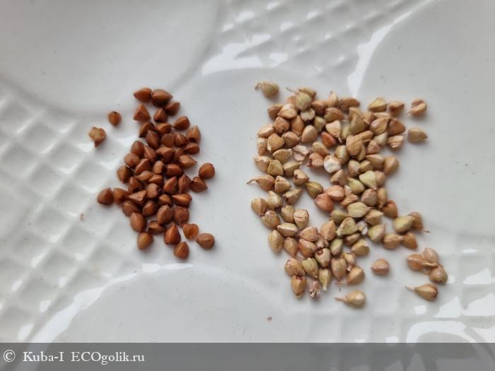 Необычный перекус и вкусная добавка в любимые блюда - отзыв Экоблогера Kuba-I