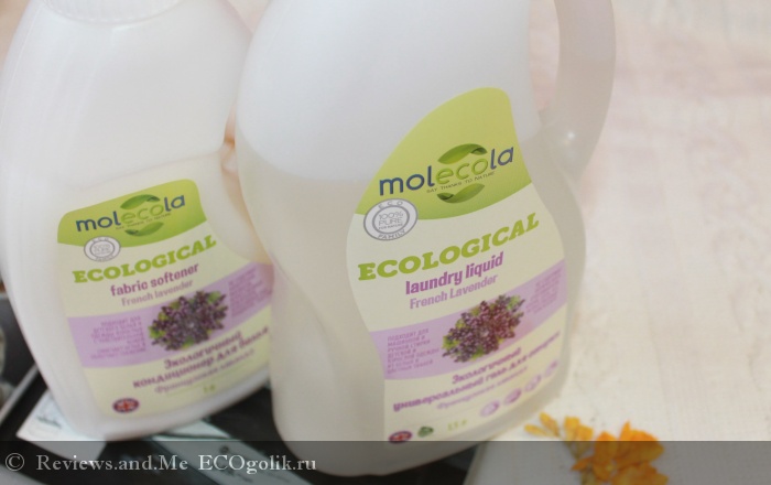 Molecola        -   Reviews.and.Me