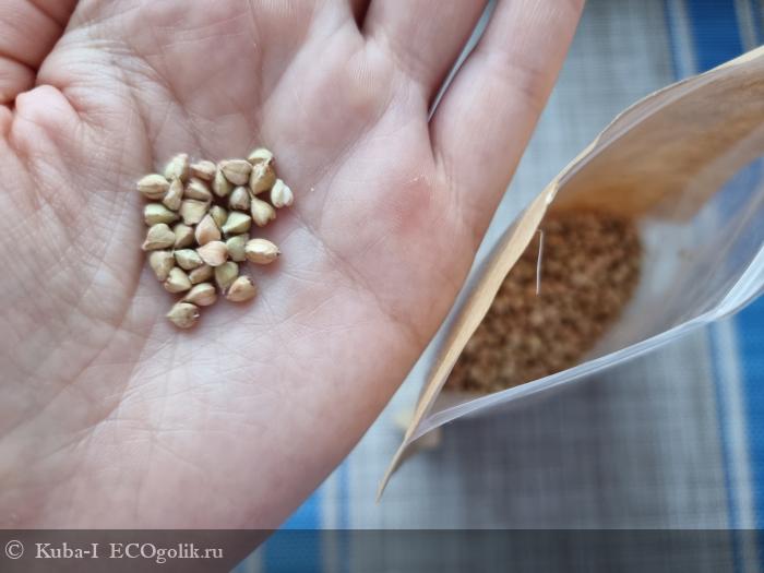 Необычный перекус и вкусная добавка в любимые блюда - отзыв Экоблогера Kuba-I