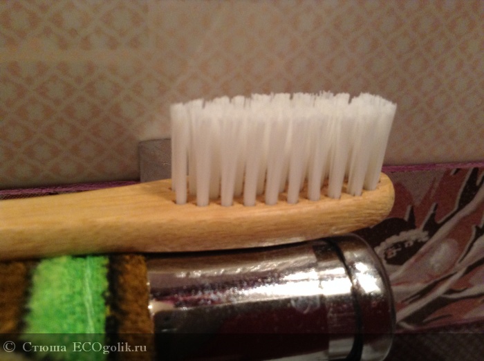     (  ) Environmental toothbrush -   