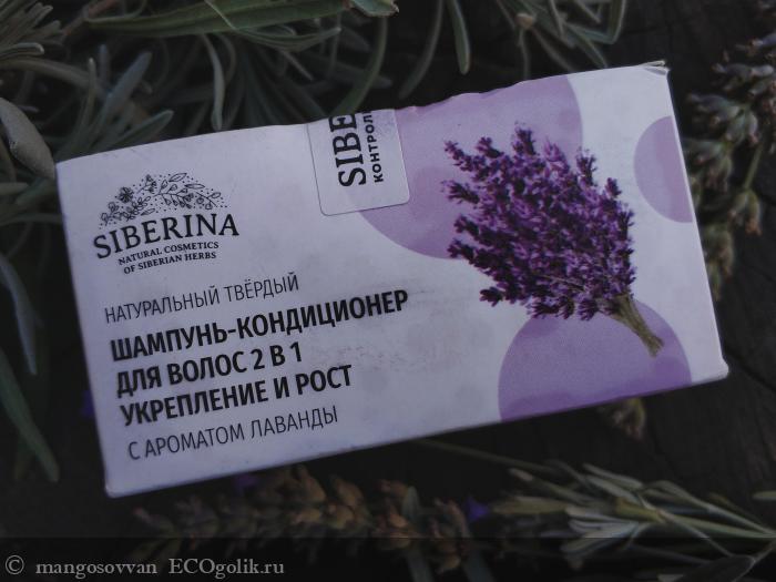 -   2  1         SIBERINA -   mangosovvan