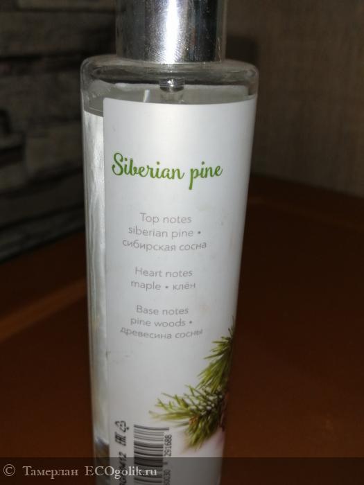      Siberian pine -   