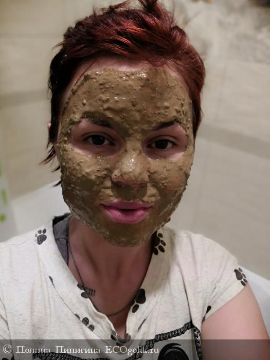 Альгинатная маска с зеленой глиной Pole natural - отзыв Экоблогера Полина Пинигина