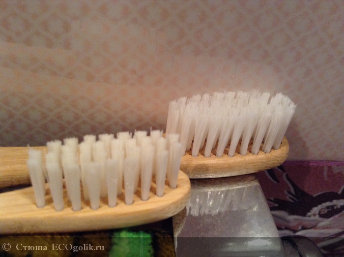     (  ) Environmental toothbrush -   
