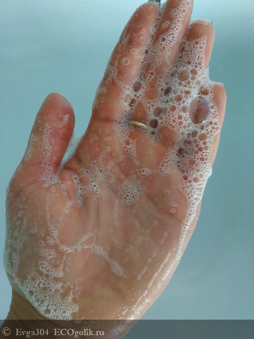 Гель для мытья посуды, овощей и фруктов от Siberina - отзыв Экоблогера Evga304