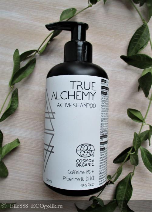 Active shampoo Caffeine 1% + Piperine & DHQ -      -   Elle888