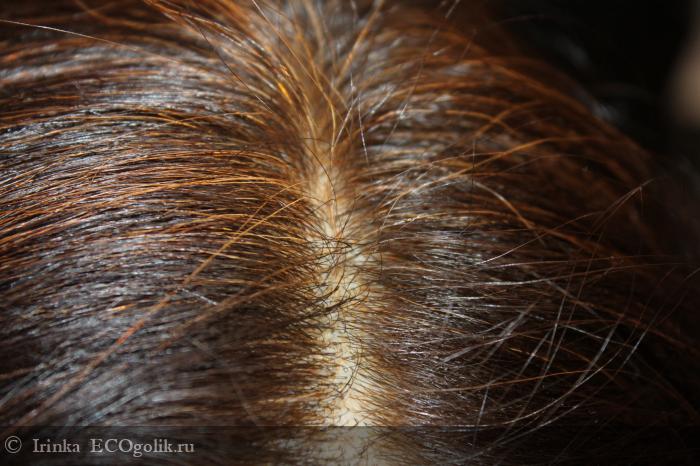 Ayluna Растительная краска для волос №100 Черно-коричневый для ярких брюнеток - отзыв Экоблогера Irinka