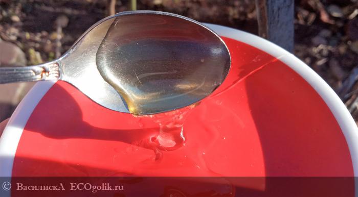 Мёд акациевый - очень вкусный! - отзыв Экоблогера ВасилискА