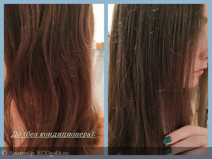 Шалфей и розмарин - идеальная парочка для красоты волос - отзыв Экоблогера Anastasija