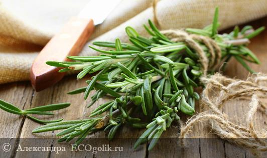 Натуральный дезодорант Райский кокос SIBERINA - отзыв Экоблогера Александра