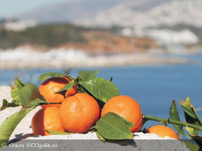 -    Orange Greece  Ecocraft -   