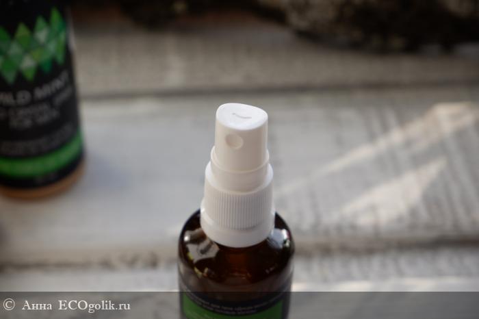 Натуральный дезодорант со свежим ароматом мяты - отзыв Экоблогера Анна