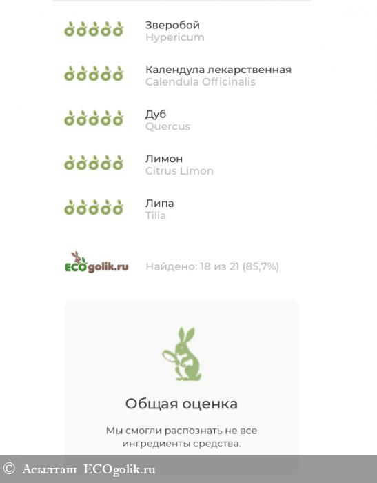 Натуральная зубная паста-гель Для гомеопатии Siberina - отзыв Экоблогера Асылташ