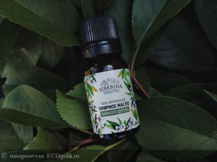 Эфирное масло Чайного дерева (Melaleuca alternifolia (tea tree) leaf essential oil) от компании SIBERINA - отзыв Экоблогера mangosovvan