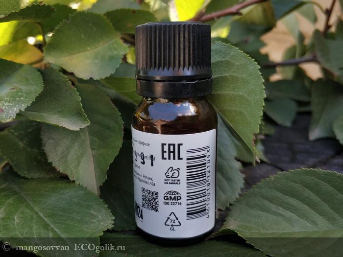 Эфирное масло Чайного дерева (Melaleuca alternifolia (tea tree) leaf essential oil) от компании SIBERINA - отзыв Экоблогера mangosovvan