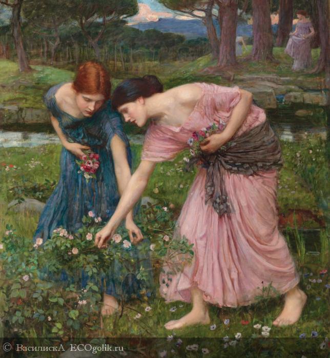 Гидролат  розы Сиберина - отзыв Экоблогера ВасилискА