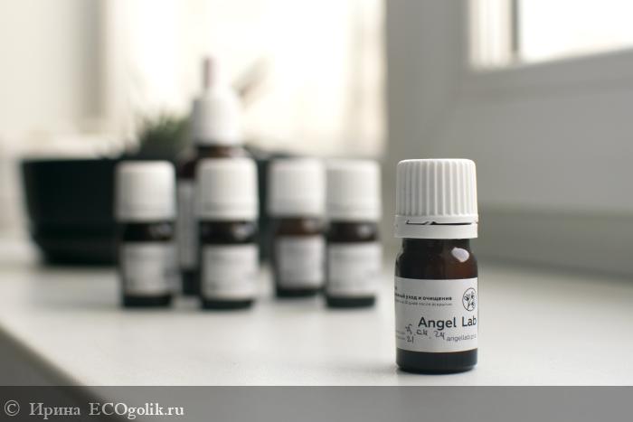       Angel Lab -   