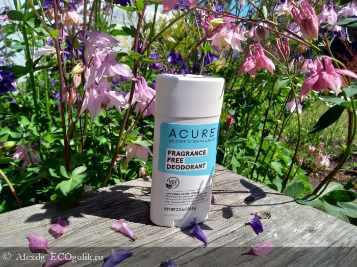  ACURE FRAGRANCE FREE ( ) -   Alexdg