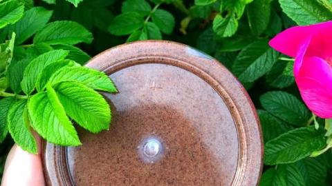 Отзыв: Бадьян, бадьян- я будто пьян..