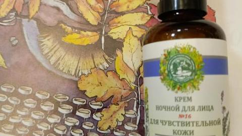 Отзыв: Мини-отзыв