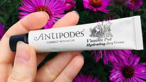 Отзыв: Крем дневной Vanilla Pod от Antipodes