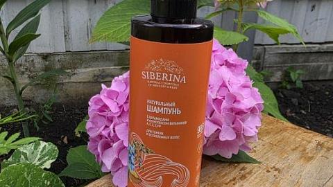 Отзыв: Гарантирует потрясающий результат